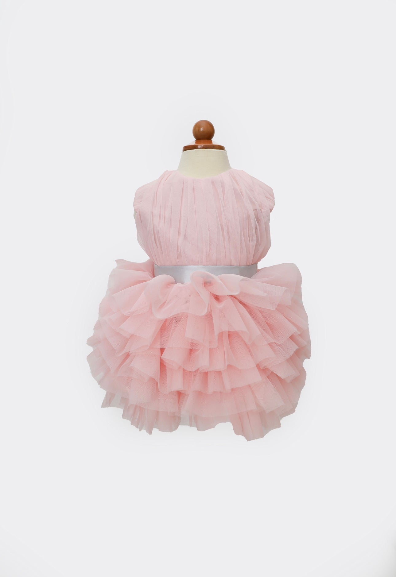 Princess Anne  Dress
